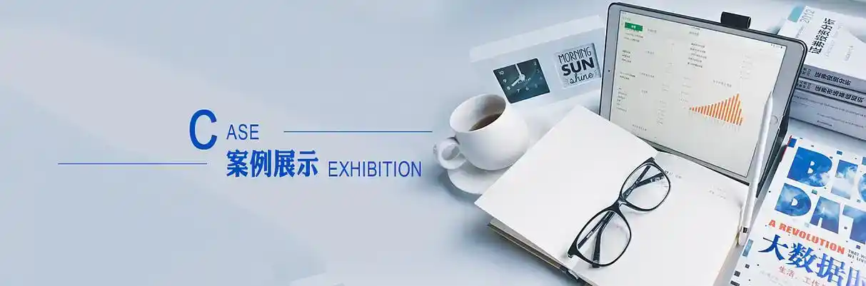 都安瑶族自治县软件开发